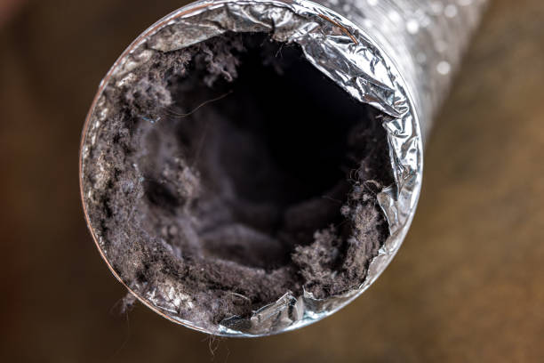 Best Professional Duct Cleaning Services  in Stroudsburg, PA